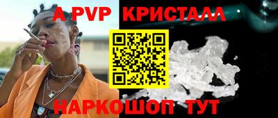 стафф Моздок