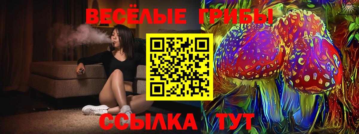 Псилоцибиновые грибы мухоморы Дмитров