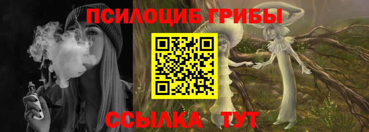 Дмитров  Галлюциногенные грибы Cubensis  Вход с VPN 